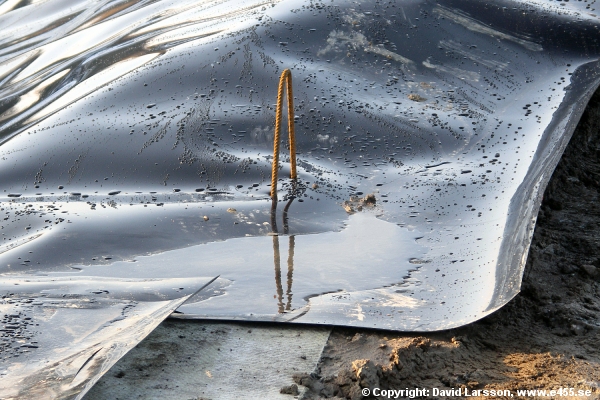 © Copyright: David Larsson