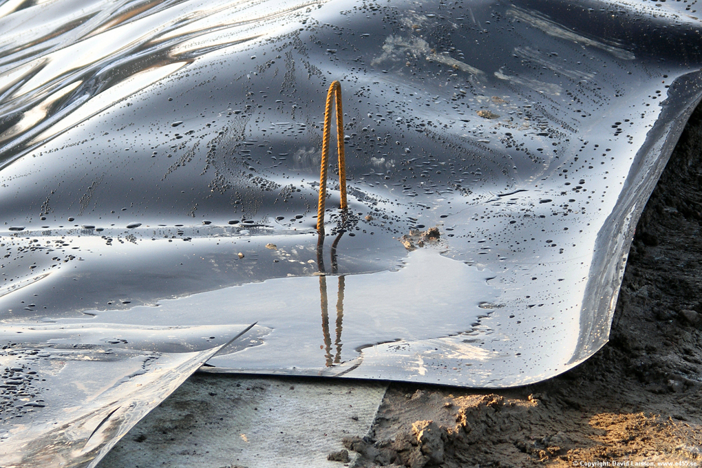 © Copyright: David Larsson