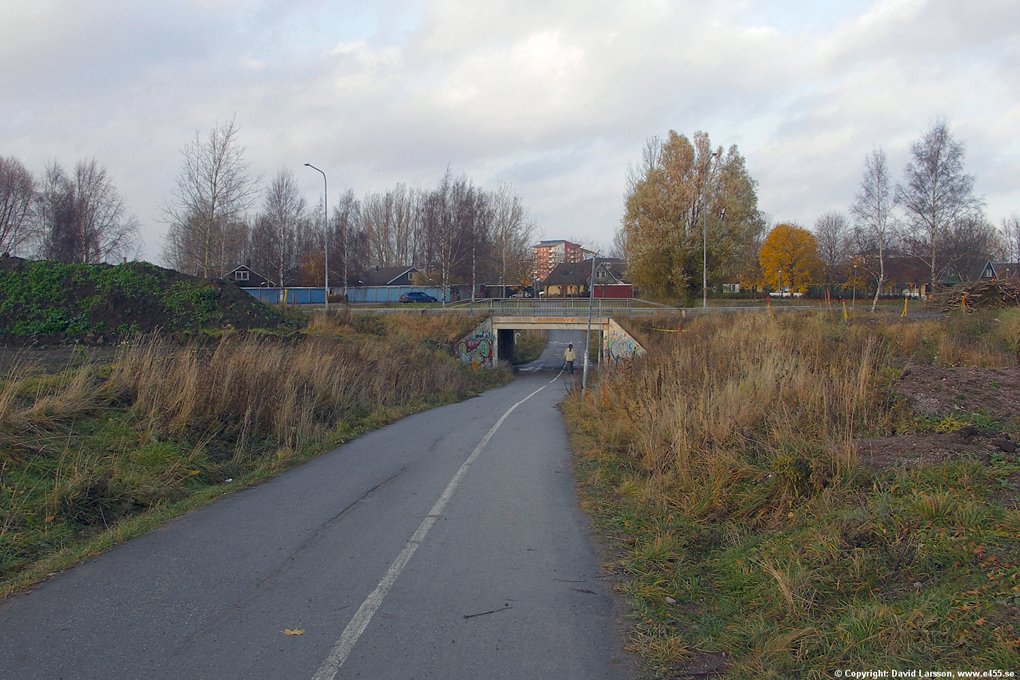 © Copyright: David Larsson