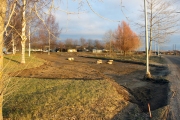 Bild-ID: 55-0270, Plats: GC-vg Kastellparken-Lagerlfsparken, Datum: 2005-12-09