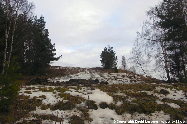 © Copyright: David Larsson