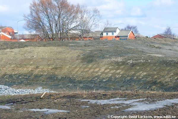 © Copyright: David Larsson