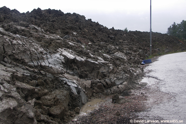 © Copyright: David Larsson