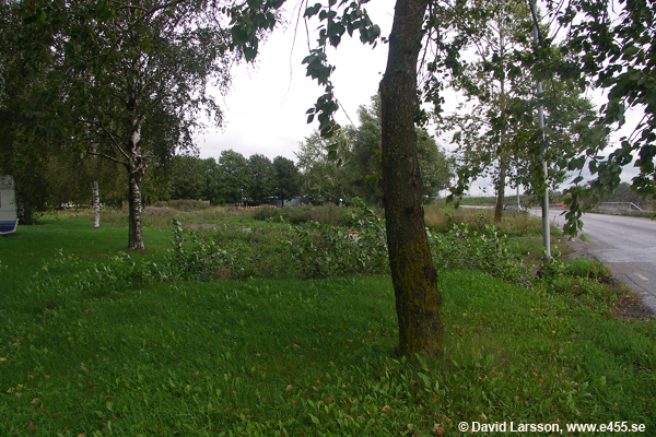 © Copyright: David Larsson