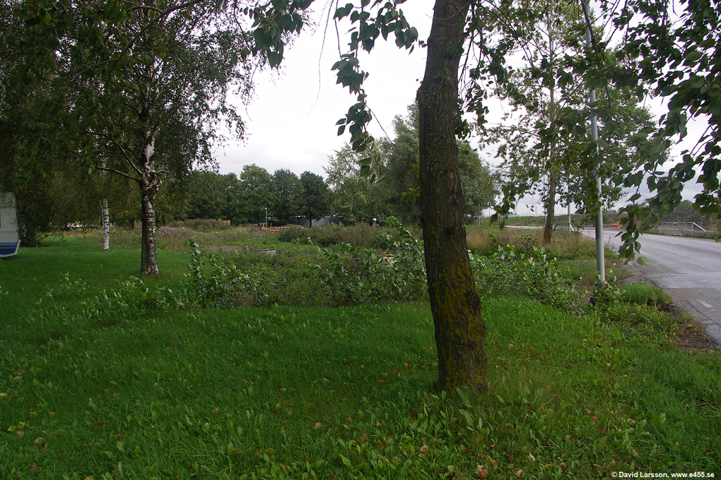 © Copyright: David Larsson